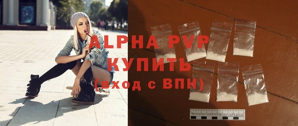 прущие крисы Бородино