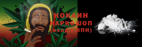 прущие крисы Бородино