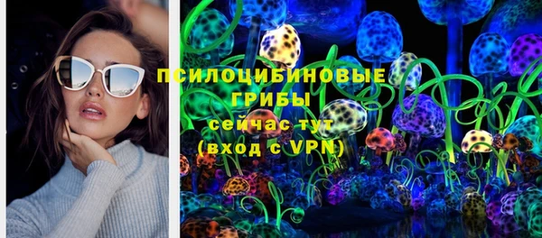 молекула духа Бугульма