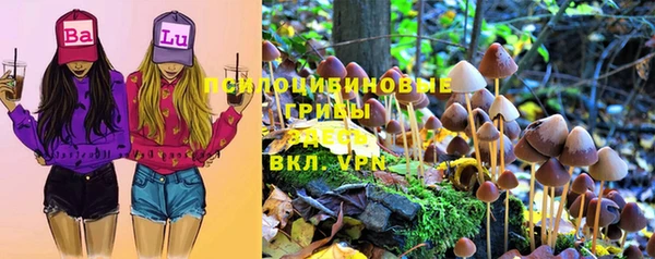 молекула духа Бугульма