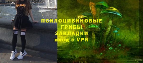 молекула духа Бугульма