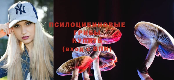 прущие крисы Бородино